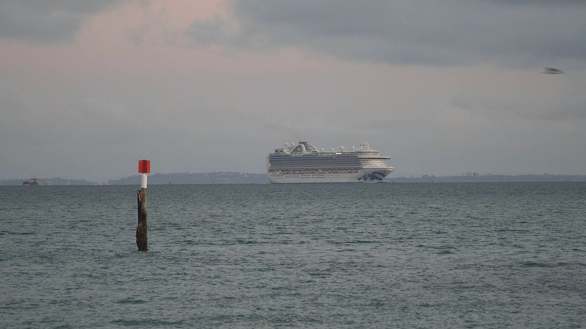 Ruby Princess